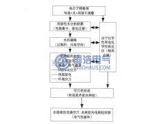 水樹枝的產(chǎn)生